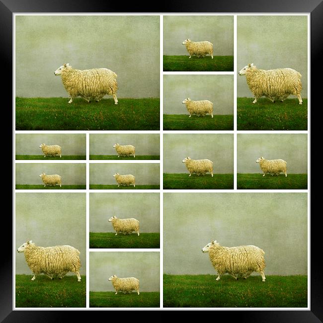  counting sheep Framed Print by Heather Newton