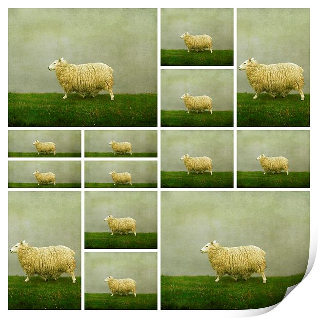  counting sheep Print by Heather Newton