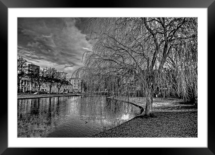 Winter Willow B&W Framed Mounted Print by Tom Gomez