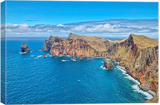 Madeira Coastline Canvas Print by Roger Green