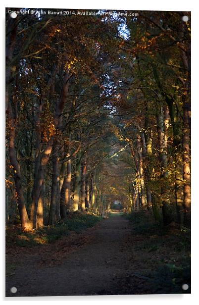  The Last of Autumn Acrylic by John Barratt