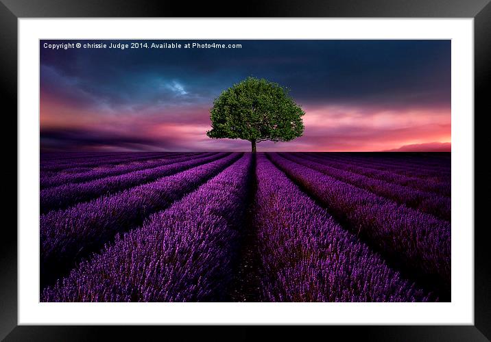 The Lavender field  Framed Mounted Print by Heaven's Gift xxx68