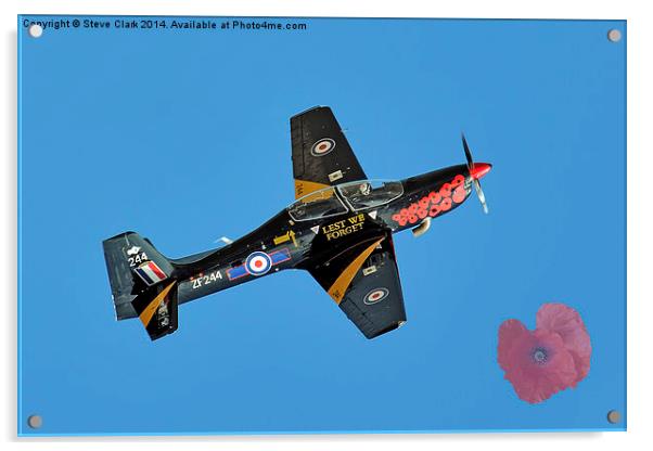  Lest We Forget Tucano Acrylic by Steve H Clark