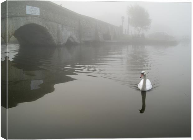 Swan by a hump back bridge in fog Canvas Print by Stephen Mole
