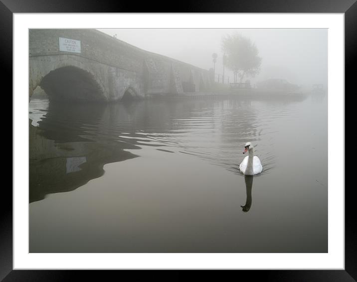 Swan by a hump back bridge in fog Framed Mounted Print by Stephen Mole