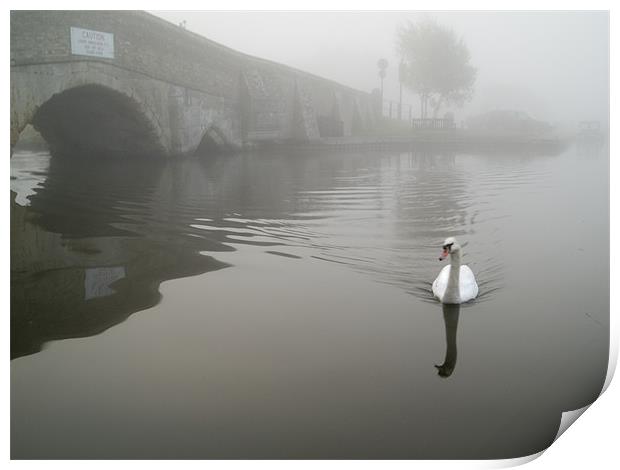 Swan by a hump back bridge in fog Print by Stephen Mole