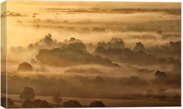  Morning Mist Box Hill Surrey Canvas Print by Clive Eariss