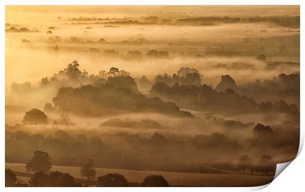  Morning Mist Box Hill Surrey Print by Clive Eariss