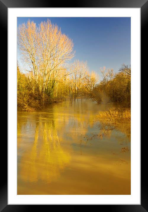  The River Mole Cobham Framed Mounted Print by Clive Eariss