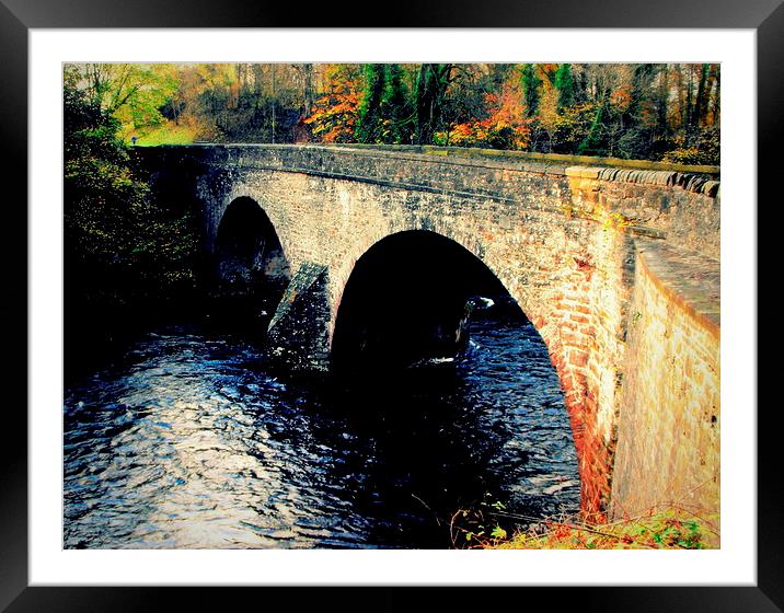  doune bridge Framed Mounted Print by dale rys (LP)