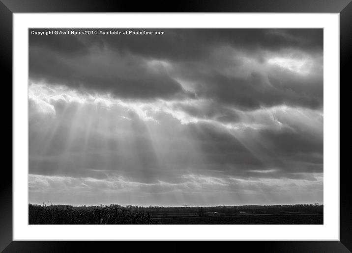  A little ray of light in Black and White Framed Mounted Print by Avril Harris