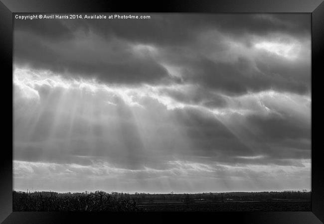 A little ray of light in Black and White Framed Print by Avril Harris