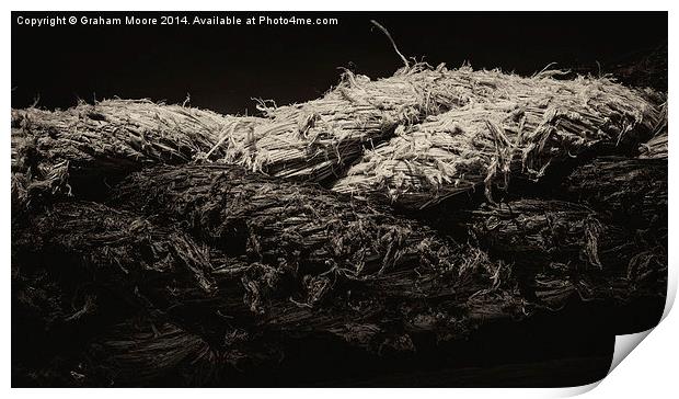 Twisted rope Print by Graham Moore