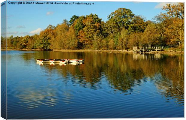  Hatfield Forest Canvas Print by Diana Mower
