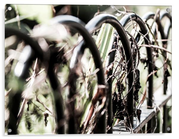Wrought Iron Fence Acrylic by Jon Mills