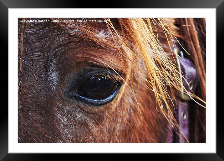  Horse II Framed Mounted Print by Hannah Laing
