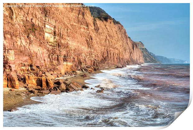  Sidmouth Cliffs Print by David Tinsley