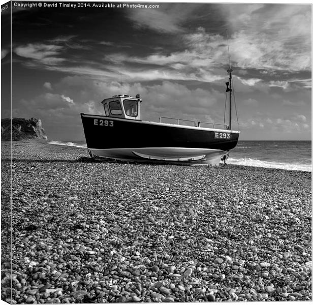  Beached Canvas Print by David Tinsley