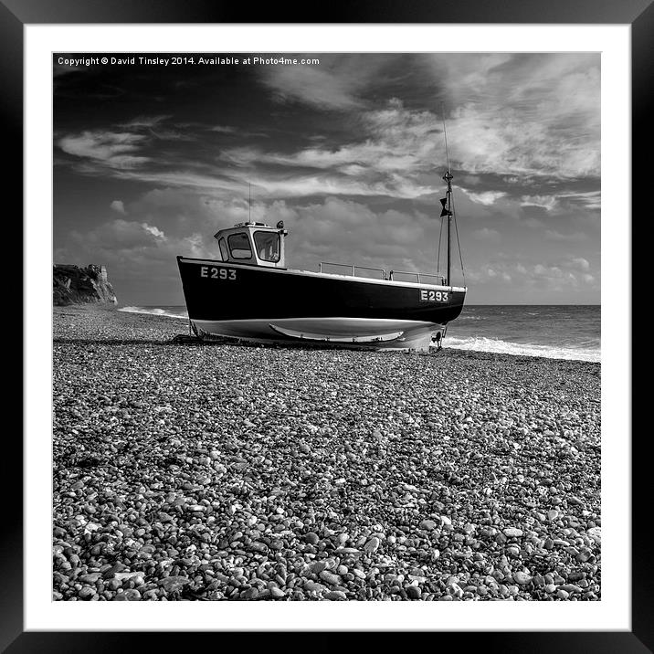  Beached Framed Mounted Print by David Tinsley