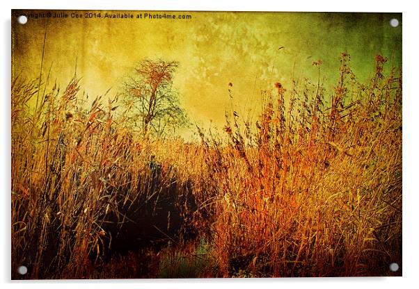 Autumn Holkham 3 Acrylic by Julie Coe