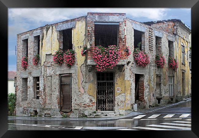 Vukovar Memorial Framed Print by Tony Murtagh