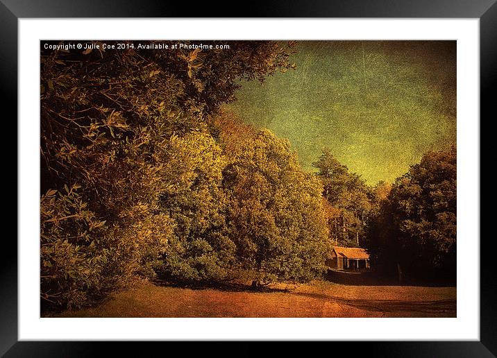 Autumn Holkham 5 Framed Mounted Print by Julie Coe