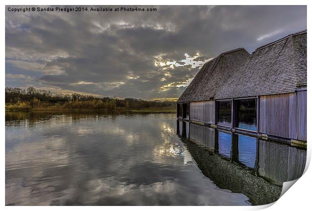  Brockholes Nature Reserve Print by Sandra Pledger