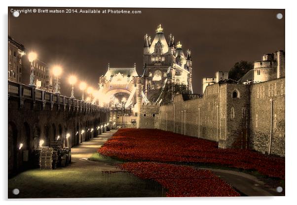  the red poppy memorial Acrylic by Brett watson