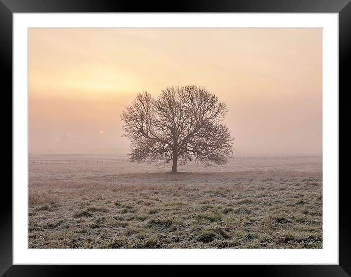 Frosty Sunrise, York. Framed Mounted Print by Mat Robinson