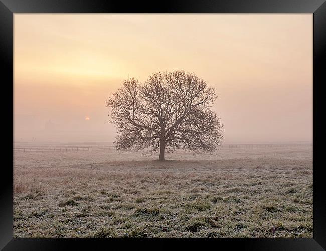  Frosty Sunrise, York. Framed Print by Mat Robinson