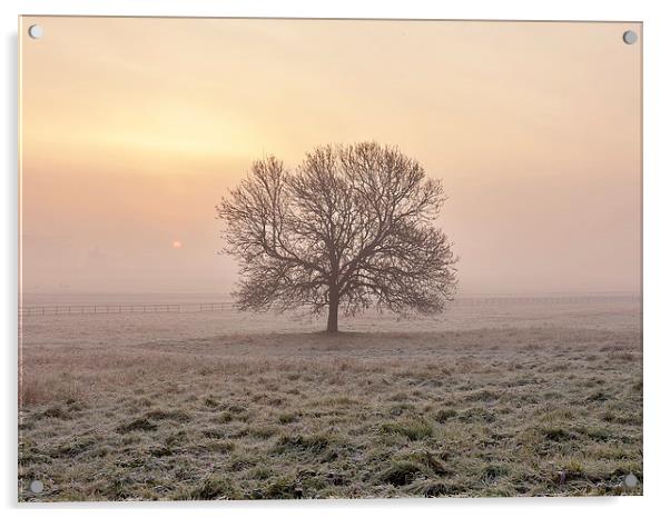  Frosty Sunrise, York. Acrylic by Mat Robinson