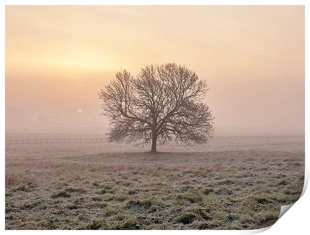  Frosty Sunrise, York. Print by Mat Robinson