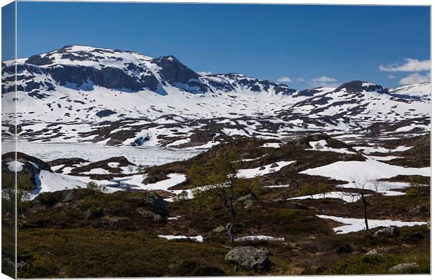 Auf dem Haukelifjell Canvas Print by Thomas Schaeffer