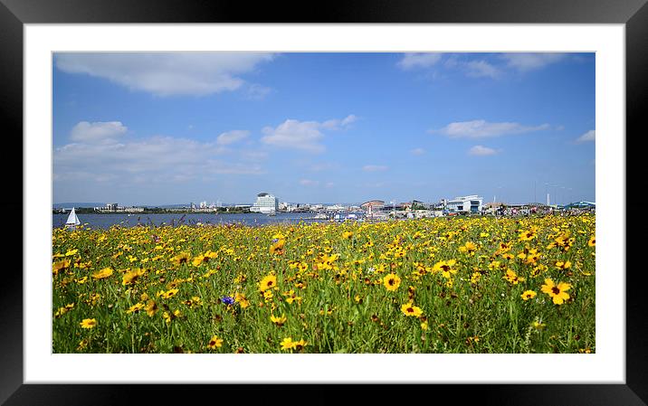  Cardiff Bay, Wales with flowers in foreground Framed Mounted Print by Jonathan Evans