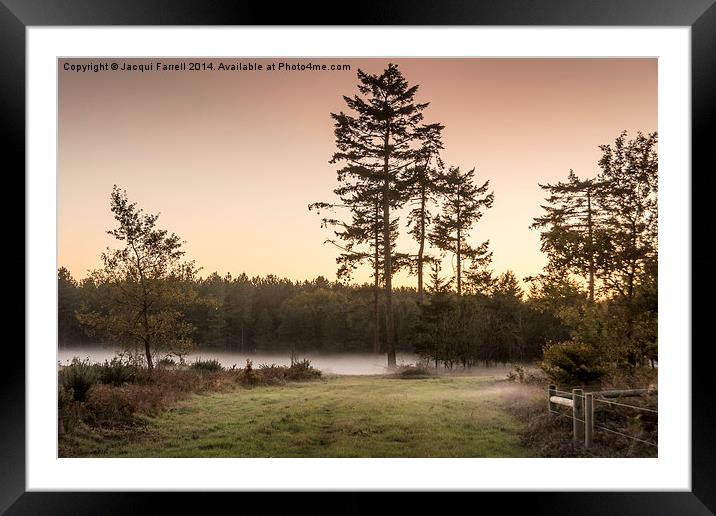  Norfolk November Mist Framed Mounted Print by Jacqui Farrell