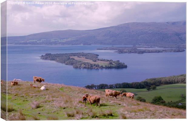  Highland Cows at Loch Lomond Canvas Print by Kevin Askew