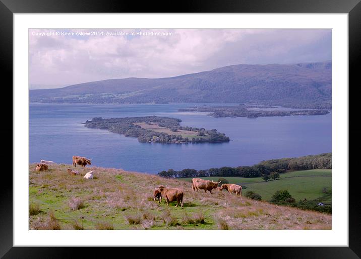  Highland Cows at Loch Lomond Framed Mounted Print by Kevin Askew