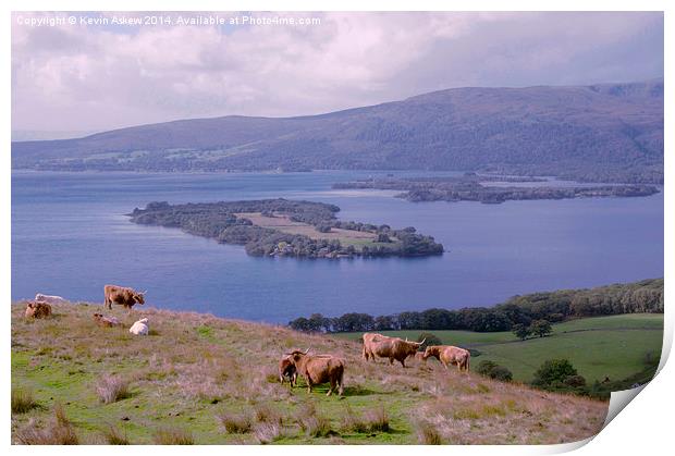  Highland Cows at Loch Lomond Print by Kevin Askew