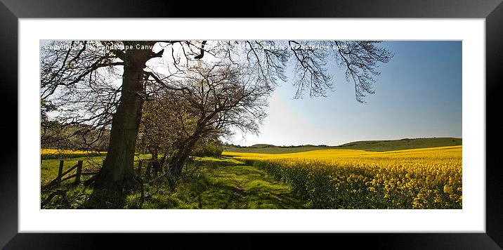  Ivinghoe Beacon Framed Mounted Print by Graham Custance