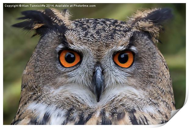 Magnificent Eagle Owl closeup Print by Alan Tunnicliffe