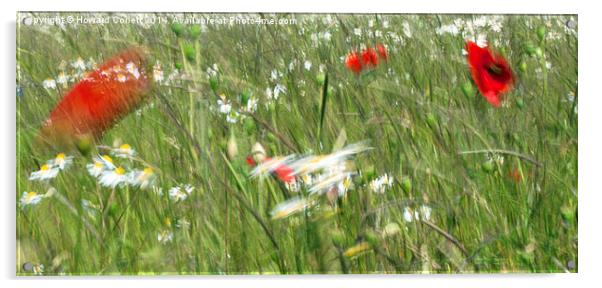 Flowers in the wind Acrylic by Howard Corlett