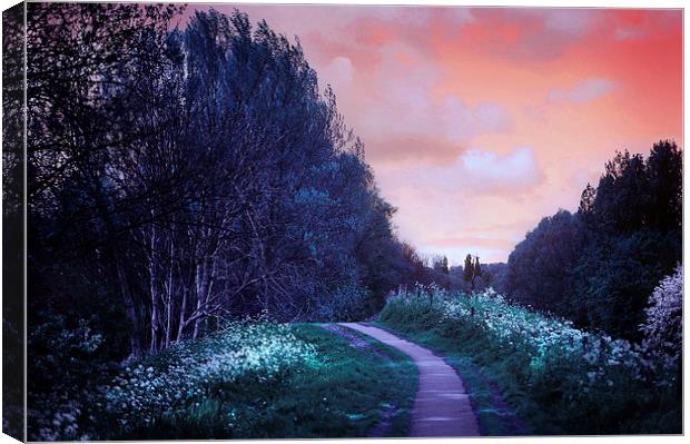  The Magical Path Canvas Print by Jenny Rainbow