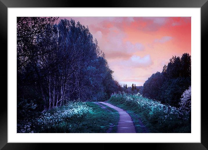  The Magical Path Framed Mounted Print by Jenny Rainbow