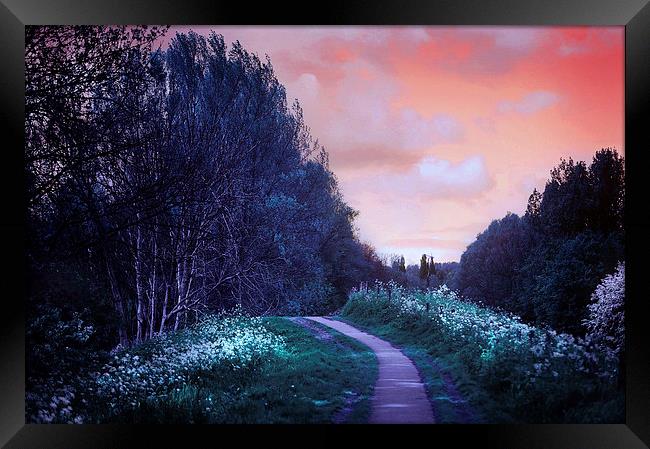  The Magical Path Framed Print by Jenny Rainbow
