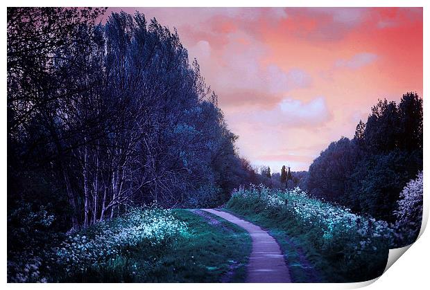  The Magical Path Print by Jenny Rainbow