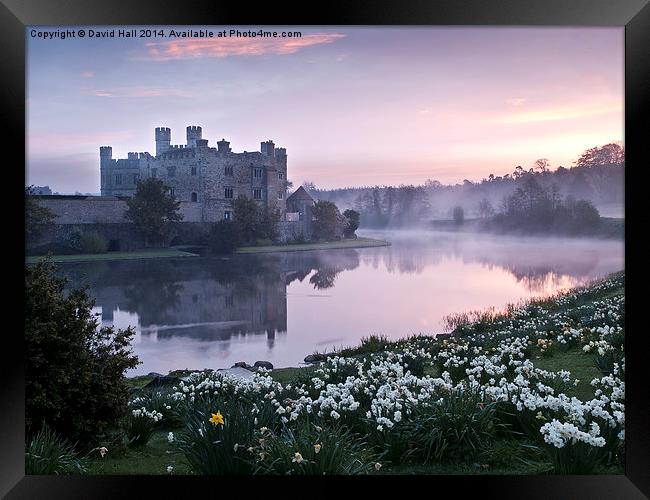  Leeds Castle at Dawn Framed Print by David Hall