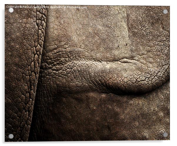  Rhino Skin Acrylic by Hannah Laing