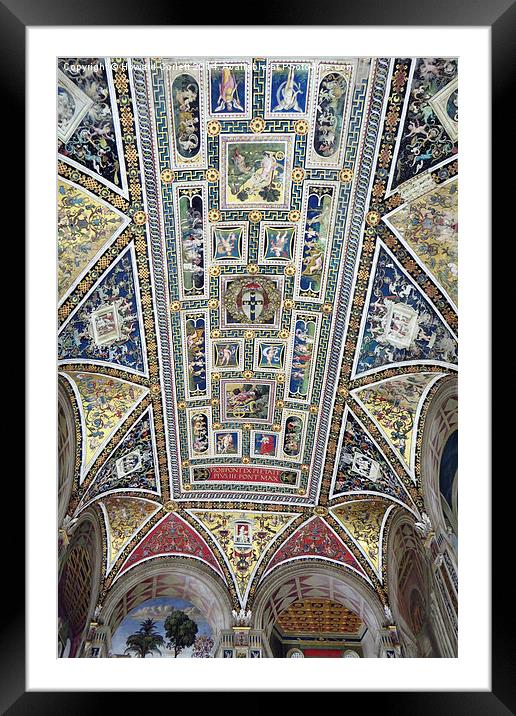 Piccolomini Library Ceiling  Framed Mounted Print by Howard Corlett