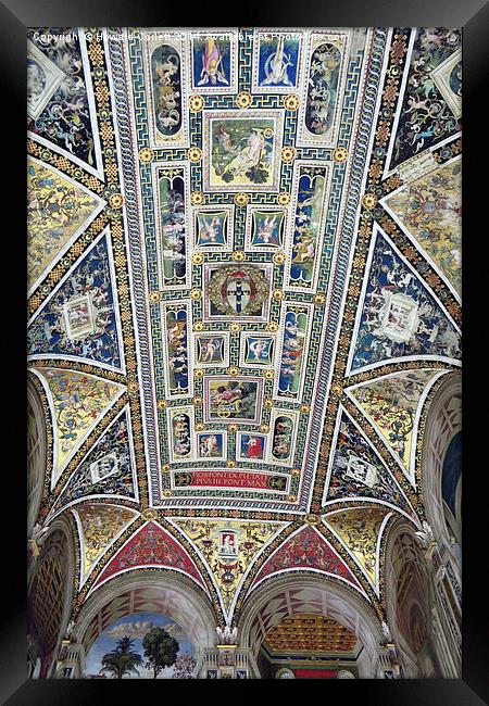 Piccolomini Library Ceiling  Framed Print by Howard Corlett