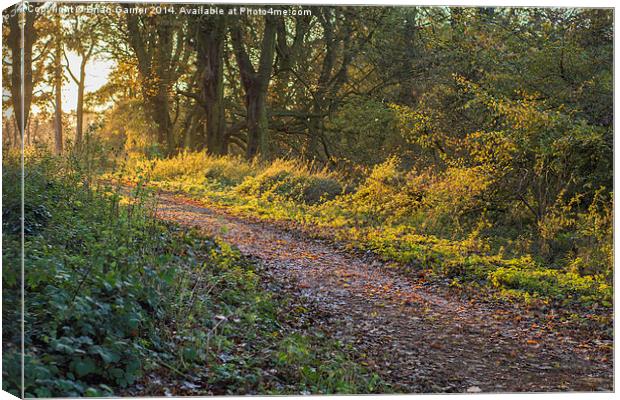  Belvoir Ridge Pathway Canvas Print by Brian Garner